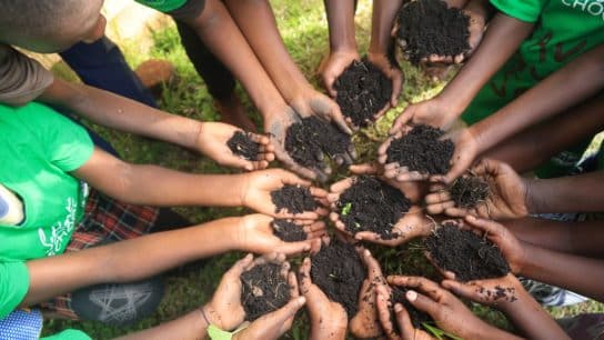 Why 2024 Is a Pivotal Year for Our Soil