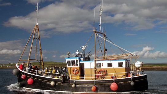 Illegal Fishing Devastates the Seas and Abuses Crews