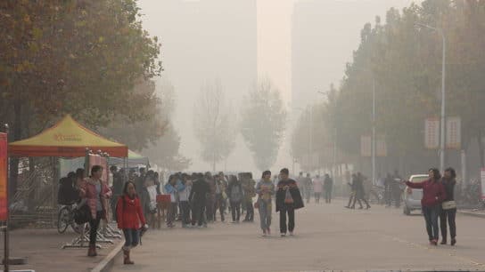 The Social Costs of Debating Carbon Capture