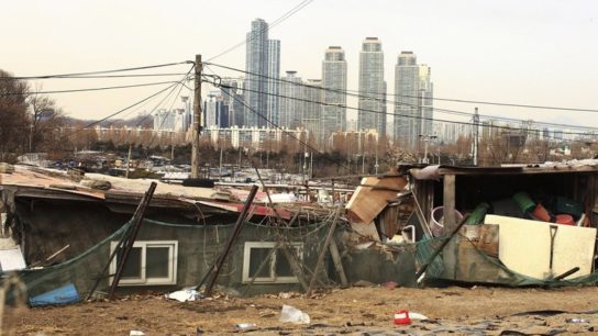 Is Inequality Destroying the Environment?