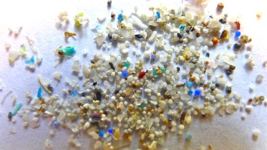 What Are Microplastics?