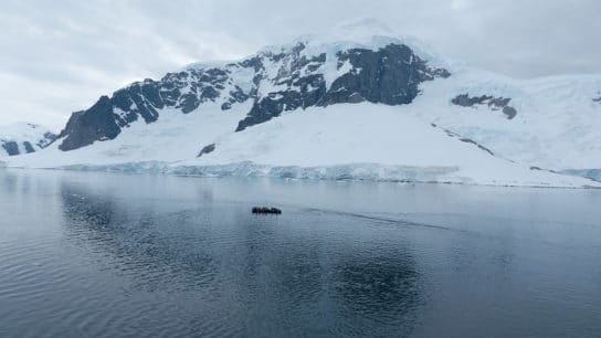 Antarctic Ice Melt Increasing Iron in the Oceans: What Does This Mean?
