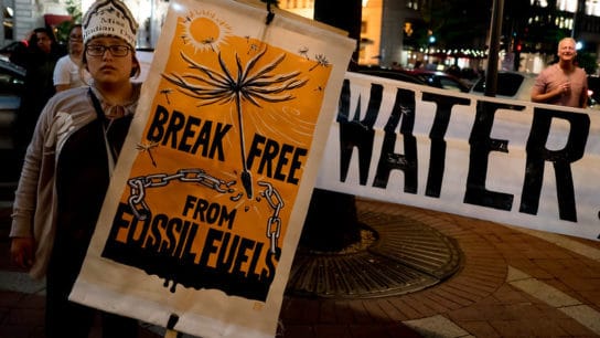 3 Environmental Law Cases to Watch Out For in 2021
