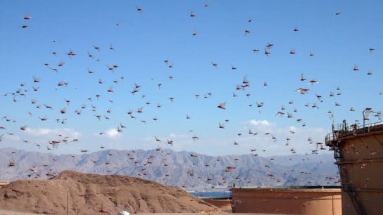The US Urgently Needs to Create Climate Migration Legislation