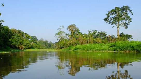 The Amazon is at Risk of Drying Out