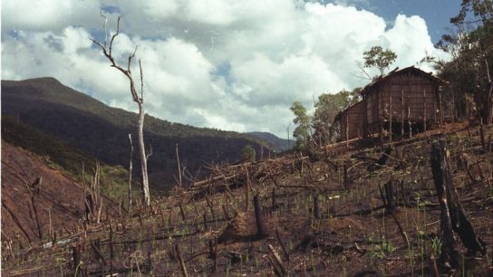 Ecofascism: How The Far-Right Weaponises Environmentalism
