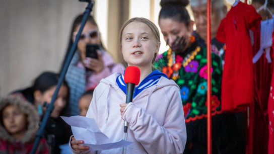 How Climate Activism Has Suffered From COVID-19