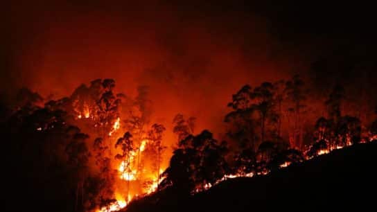 In Pictures – Brazil on Fire: A Fight for Survival