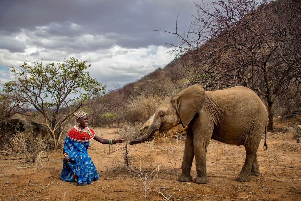 15-year-old Samburu girl Naltwasha LeRipe meets orphaned baby elephant Shaba at Reteti Elephant Sanctuary in Namunyak Wildlife Conservancy in Samburu, northern Kenya, September 20, 2017. This image was used as the poster image for “My Africa”, Conservation International’s award-winning 3D virtual reality movie narrated by Hollywood (Kenyan) actress Lupita Nyong’o which brings us up close-and-personal with community-lead conservation through the Reteti Elephant Sanctuary in Samburu, northern Kenya.