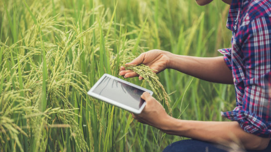Smart Farms: How AI Can Solve Water Wastage