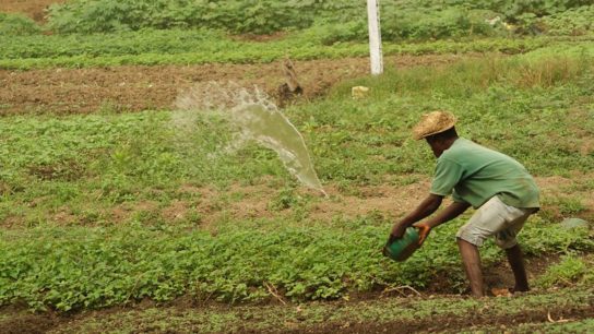 How Space Agriculture Could Solve the Global Food Crisis