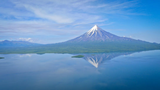 What is the Cause of the Pollution Killing Sea Animals in Kamchatka, Russia?