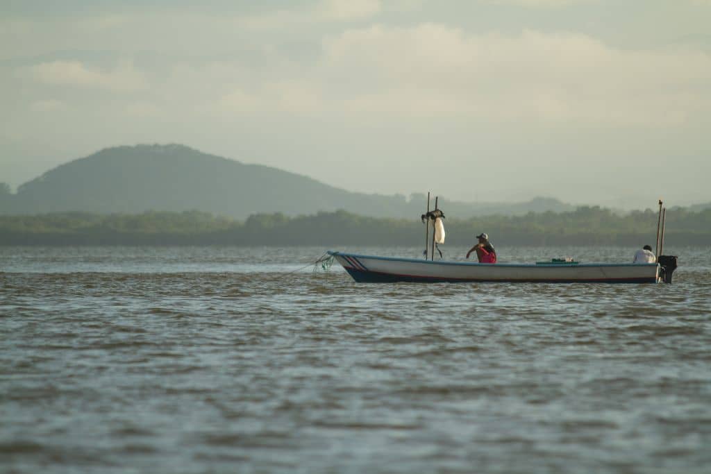 The Role of NGOs in Coastal Communities: A Latin American Perspective