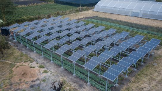 The Advantages and Disadvantages of Agrivoltaics