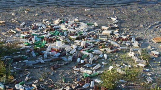 The Industry Rallying Against Plastic Pollution