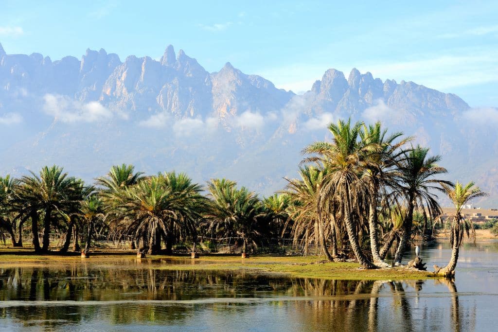 Socotra Island: The Indian Ocean’s Biodiversity Treasure