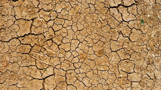 Scorching Drought in Mexico: Is There Really Not Enough Water?