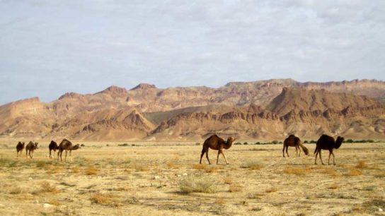 4 Factors Causing Middle Eastern Countries to Become Uninhabitable