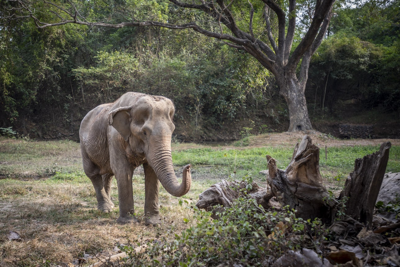 Photo: Amy Jones/WFFT.
