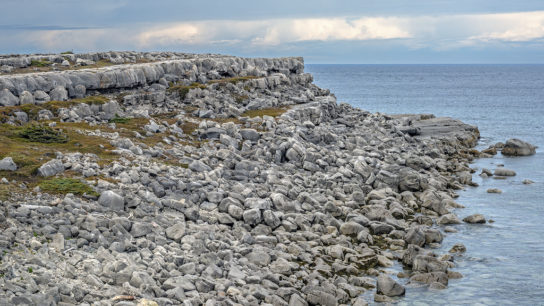 Enhanced Weathering for Carbon Capture