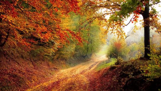 Using Nature as a Prescription