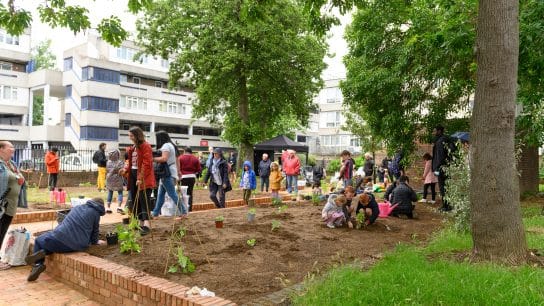 Nature-Based Grants as a Catalyst for Resilient Communities  