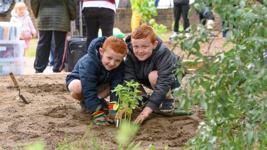 CLEVER Cities: Building Trust in Communities for Sustainable Collaboration