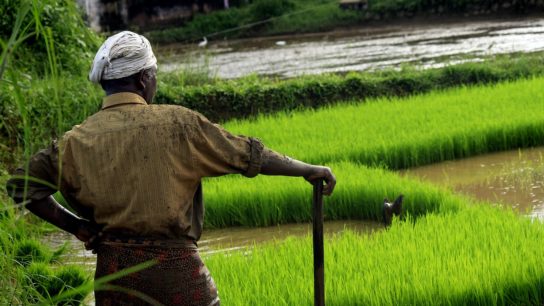 Public Outcry in India Over New ‘Anti-Environment’ Legislation