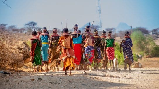 The Silent Cry of the Forest: How Deforestation Impacts Indigenous Communities