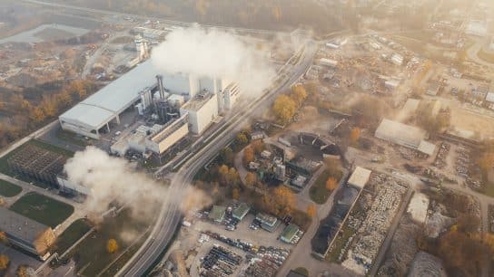 The Implications of the EU Carbon Border Adjustment Mechanism on the Environment and Global Trade