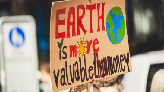 5 Ways to Spot Sustainable Suppliers and Manufacturers