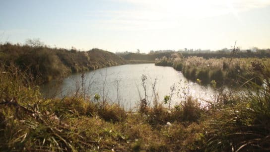 Tosqueras: The Deadly Lakes in Argentina That Require Prompt Attention