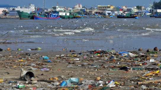 What Causes Water Pollution and How Do We Solve it?