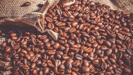 Can Agroforestry Help Coffee Farms Become More Resilient to Climate Change?