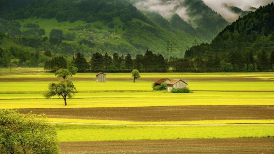 What is Agroecology?