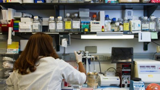 Science Has a Sustainability Problem: How Can We Make Labs Greener?