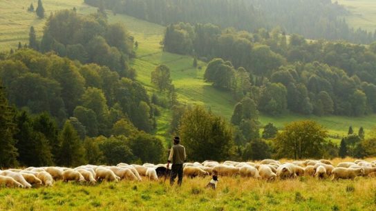Bioregionalism: A Model for a Self-Sufficient and Democratic Economy