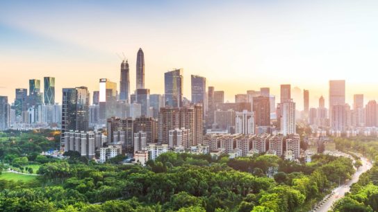 Exploring the Interconnectedness of Sustainable Development Goals