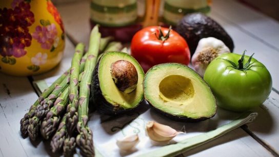 Veganuary 2024: How Veganism Can Help Ease the World’s Land Use Crisis
