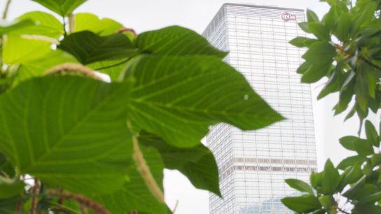 What are B Corporations?