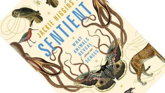 Review – ‘Sentient’ By Jackie Higgins