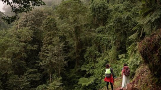 How a Digital Platform is Promoting Regenerative Tourism in Mexico