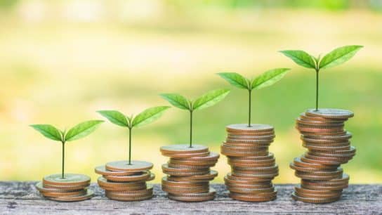 ESG Investing: A Rising Trend Amid Greenwashing Concerns