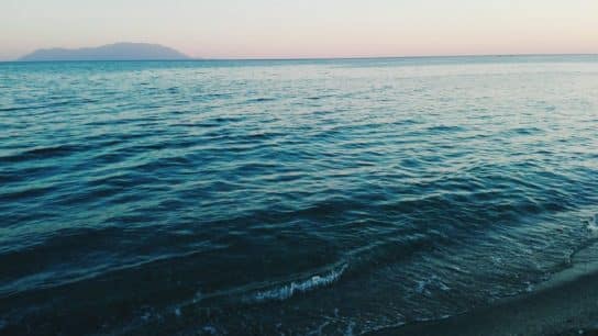 Changing Tides: How Does Ocean Acidification Affect Marine Life?