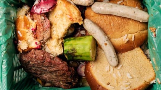25 Shocking Facts About Food Waste