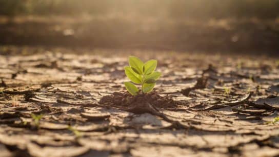 What Are Climate Services and What Benefits Do They Have?