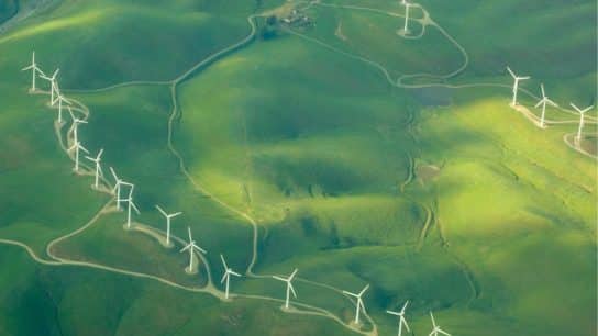 Explainer: What Is Sustainability and Why Is It Important?