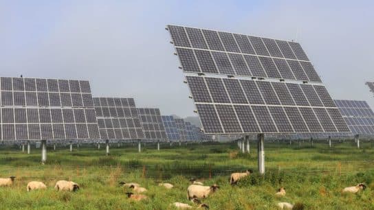 What’s Wrong With the UK’s Plan to Ban Solar Projects From Farmland?