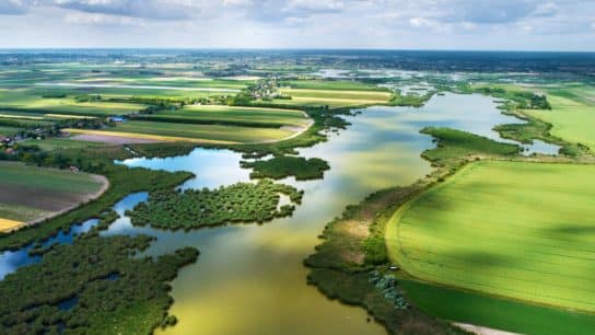Biodiversity Is More at Risk Than Ever Before. Here’s How We Change Course.