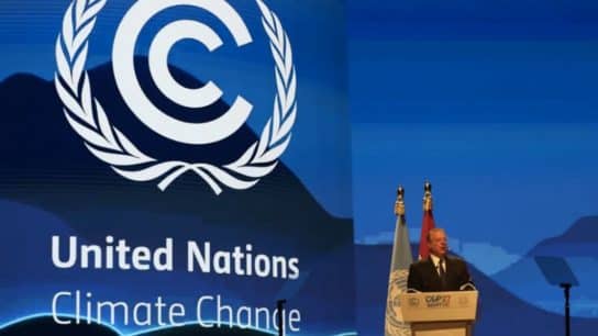 Climate Crisis: Private Sector Must Play Its Part – But Beware of Greenwashing
